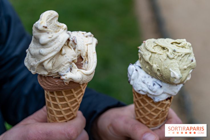 Brigat' Gelato - la glacerie Place des Vosges -  A7C9934