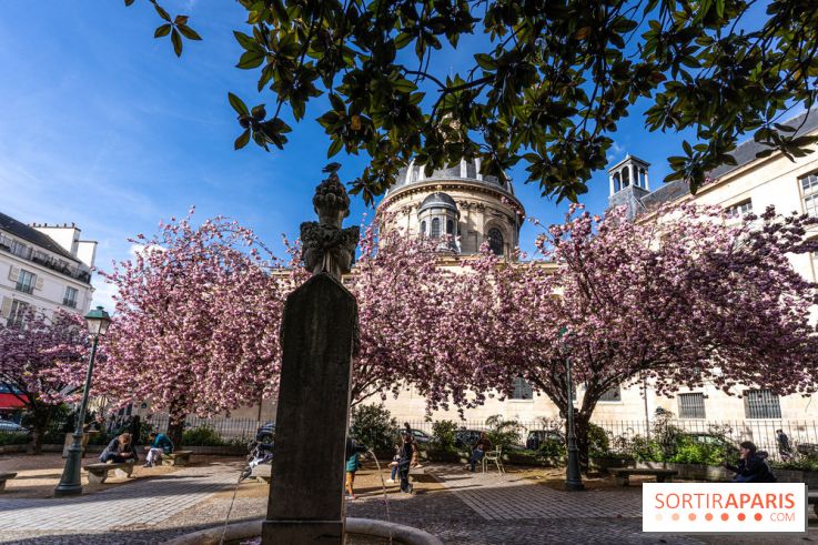 Square Gabriel Pierné à Paris - cerisiers en fleurs