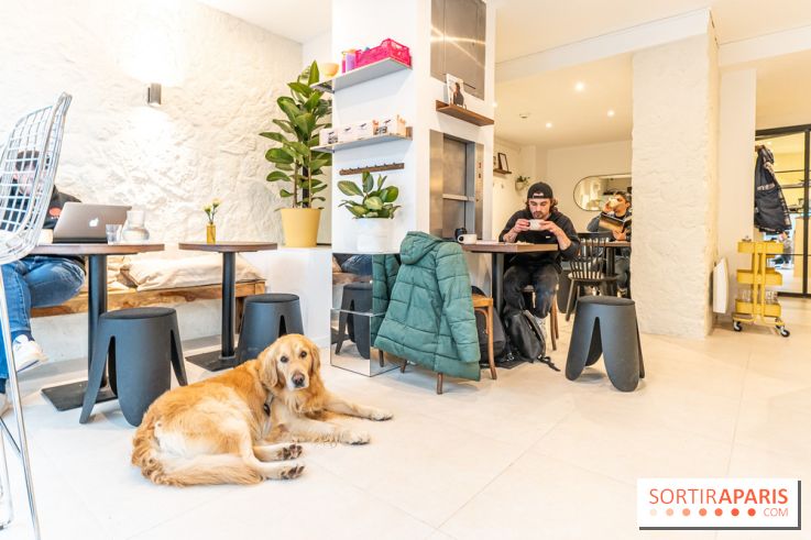 Seven Heaven, le coffee shop dog's friendly et kid's friendly de Paris 11e -  A7C0496