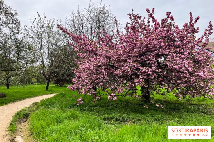 Arboretum de Paris - nos photos