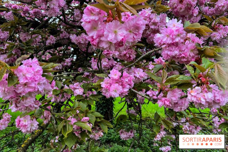Arboretum de Paris - nos photos - image00035
