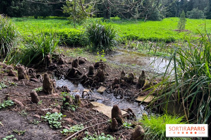 Arboretum de Paris - nos photos - image00031