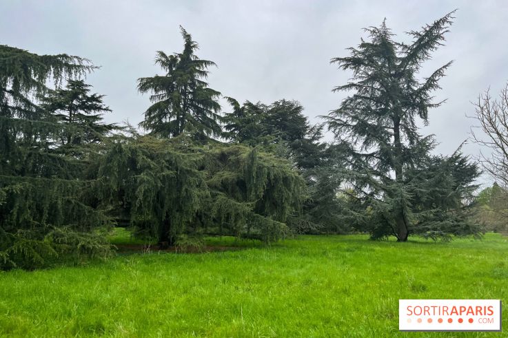 Arboretum de Paris - nos photos