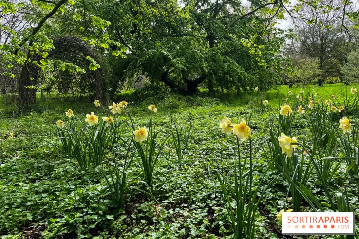 Jardin de l'Ecole du Breuil - nos photos - image00029