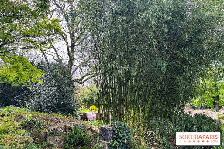 Jardin de l'Ecole du Breuil - nos photos