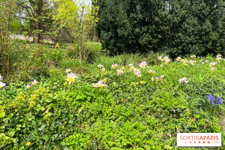 Jardin de l'Ecole du Breuil - nos photos