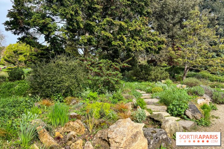 Jardin de l'Ecole du Breuil - nos photos