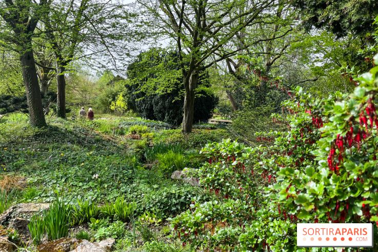 Jardin de l'Ecole du Breuil - nos photos