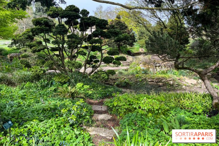 Jardin de l'Ecole du Breuil - nos photos
