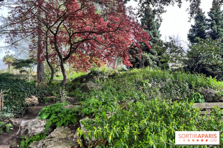 Jardin de l'Ecole du Breuil - nos photos