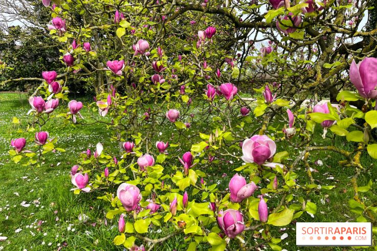 Jardin de l'Ecole du Breuil - nos photos