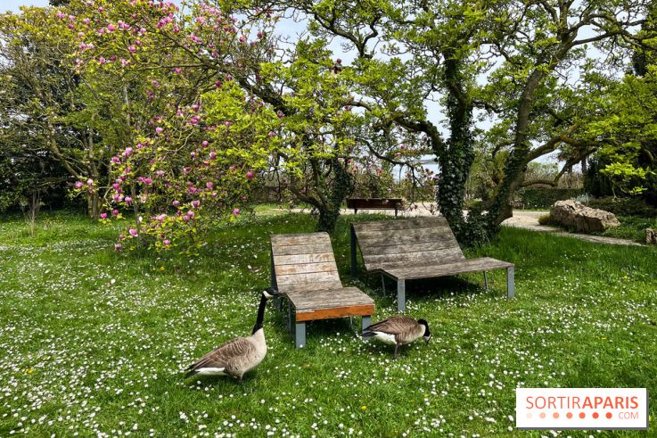 Jardin de l'Ecole du Breuil - nos photos