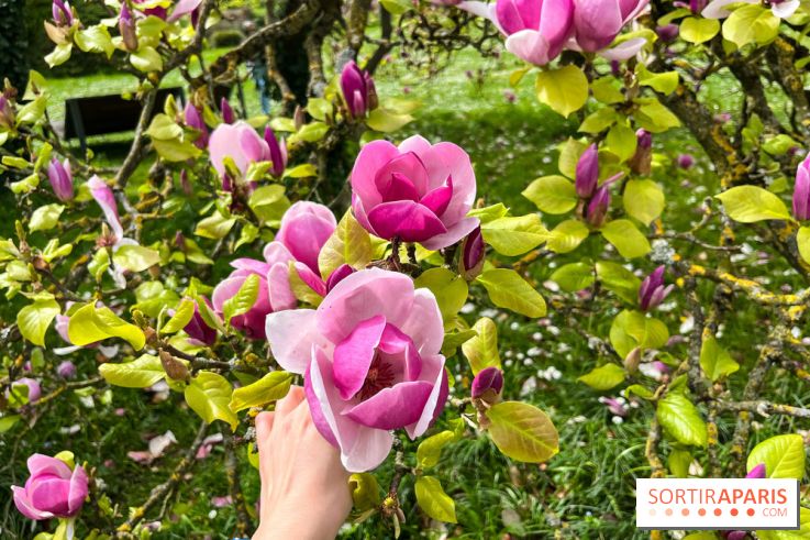 Jardin de l'Ecole du Breuil - nos photos