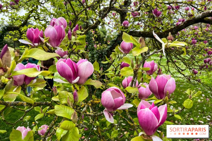 Jardin de l'Ecole du Breuil - nos photos