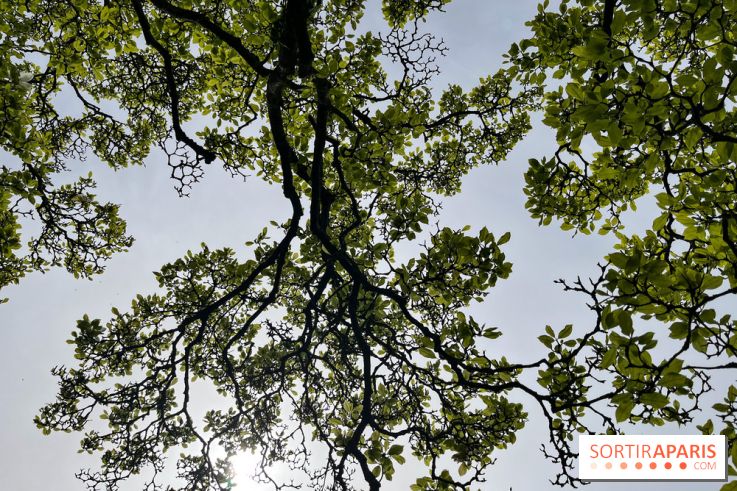 Jardin de l'Ecole du Breuil - nos photos