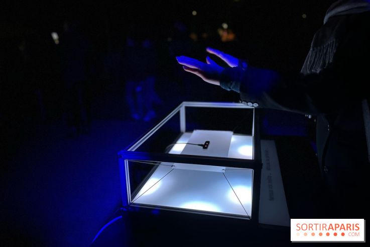 Les Nocturnes de l'Impressionnisme - IMG 0302