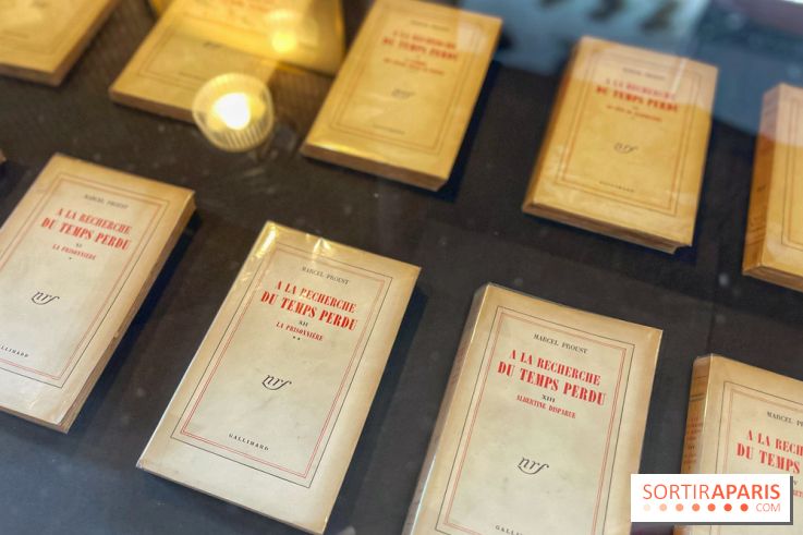 Hôtel littéraire Le Swann - IMG 0379