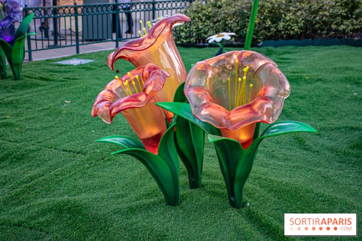 La Symphonie des Couleurs Disney à Disneyland Paris - DSC 9972