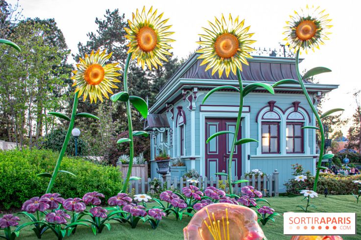 La Symphonie des Couleurs Disney à Disneyland Paris - DSC 9974