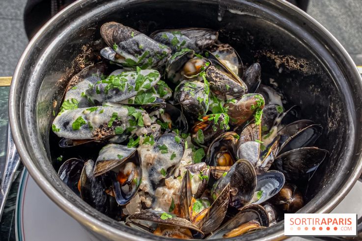 Rosalie Disney Village - IMG 5991 2