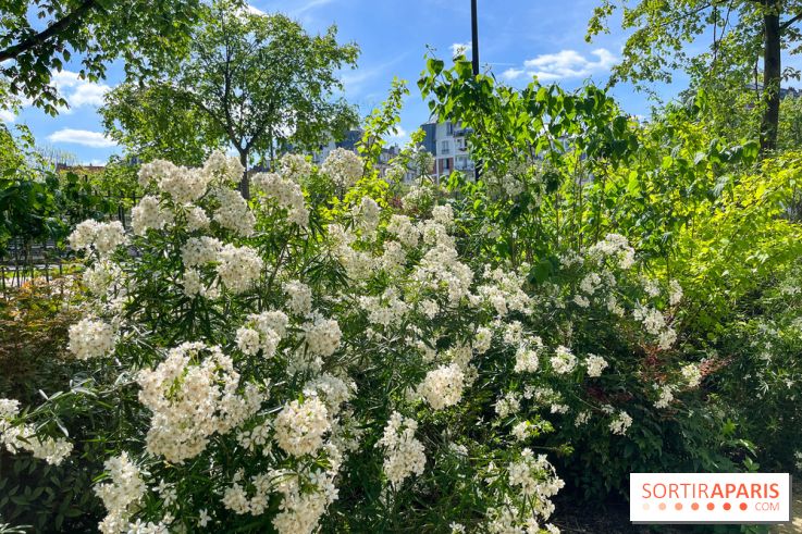 Jardin René Binet - nos photos