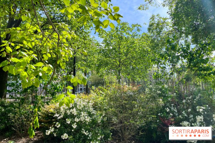 Jardin René Binet - nos photos