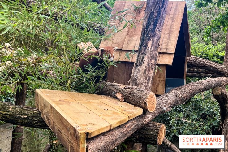 Ménagerie du Jardin des Plantes 2024 - nos photos - image00020