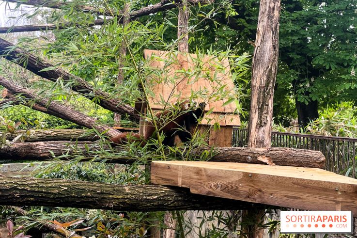 Ménagerie du Jardin des Plantes 2024 - nos photos - image00014