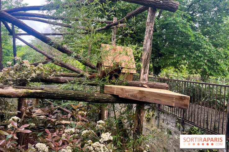 Ménagerie du Jardin des Plantes 2024 - nos photos - image00015