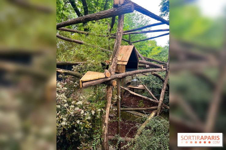 Ménagerie du Jardin des Plantes 2024 - nos photos - image00016