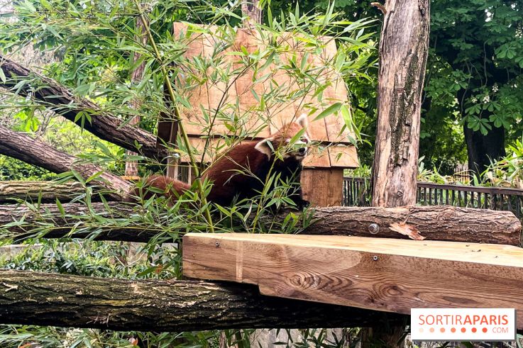 Ménagerie du Jardin des Plantes 2024 - nos photos