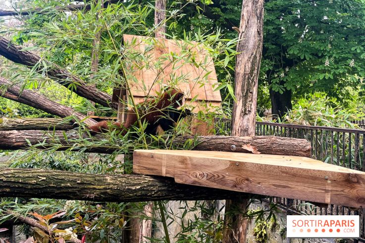 Ménagerie du Jardin des Plantes 2024 - nos photos - image00013