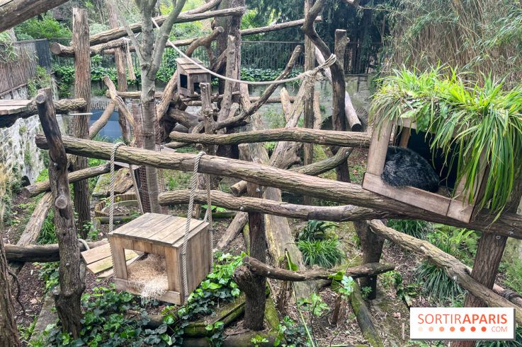Ménagerie du Jardin des Plantes 2024 - nos photos