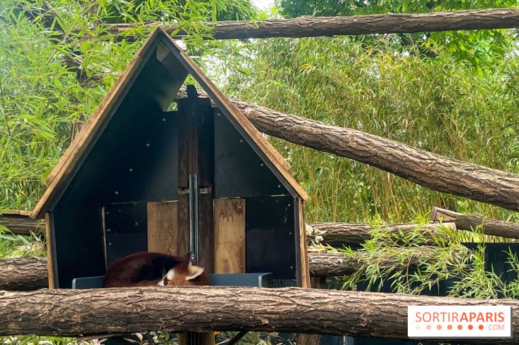 Ménagerie du Jardin des Plantes 2024 - nos photos - image00035