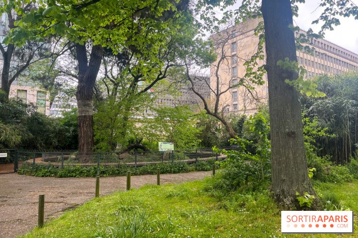 Ménagerie du Jardin des Plantes 2024 - nos photos