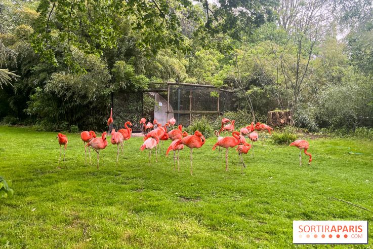 Ménagerie du Jardin des Plantes 2024 - nos photos