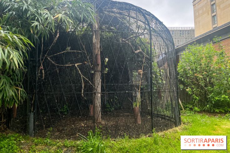 Ménagerie du Jardin des Plantes 2024 - nos photos