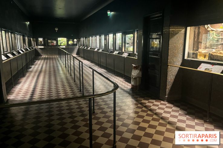 Ménagerie du Jardin des Plantes 2024 - nos photos