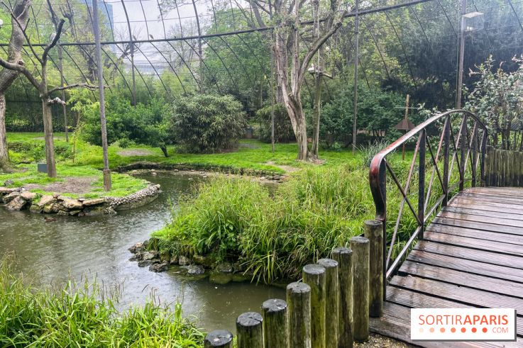 Ménagerie du Jardin des Plantes 2024 - nos photos - image00008