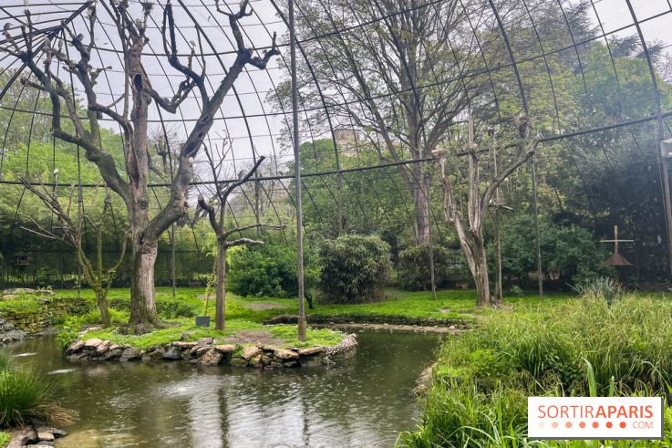 Ménagerie du Jardin des Plantes 2024 - nos photos