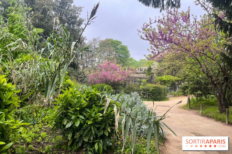 Ménagerie du Jardin des Plantes 2024 - nos photos - image00012