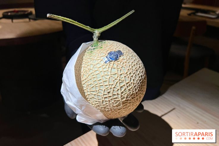 Marie Akaneya - Crown melon