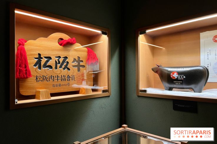 Marie Akaneya - Décoration