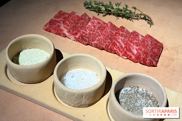 Marie Akaneya - Matsusaka Beef