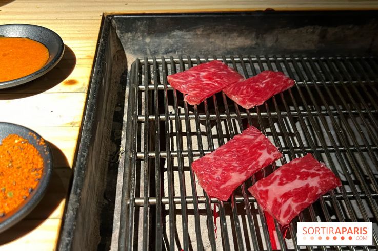 Marie Akaneya - Hampe de bœuf