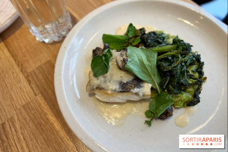 Brion - Poisson, curry vert, escargots