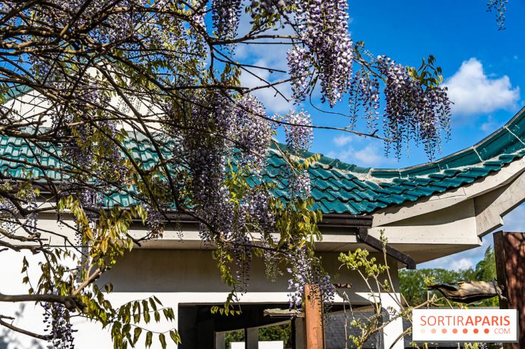 Jardin Yili, le jardin chinois caché dans les Yvelines
