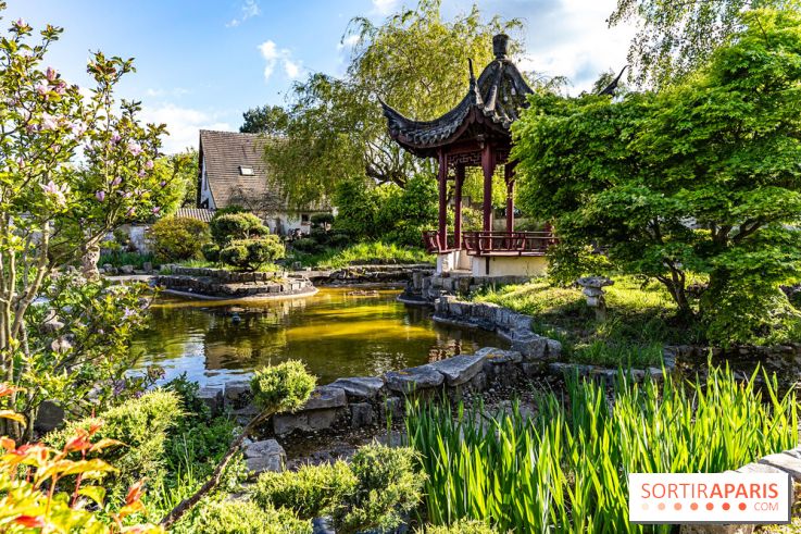 Jardin Yili, le jardin chinois caché dans les Yvelines -  A7C2282