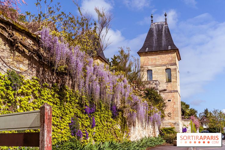 Village de Medan dans les Yvelines -  château de Medan - glycine