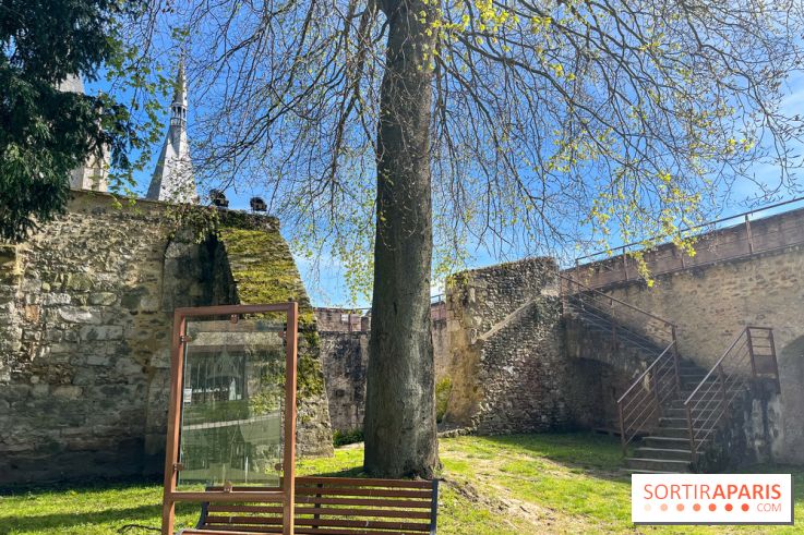 Château de Dourdan - nos photos - image00035